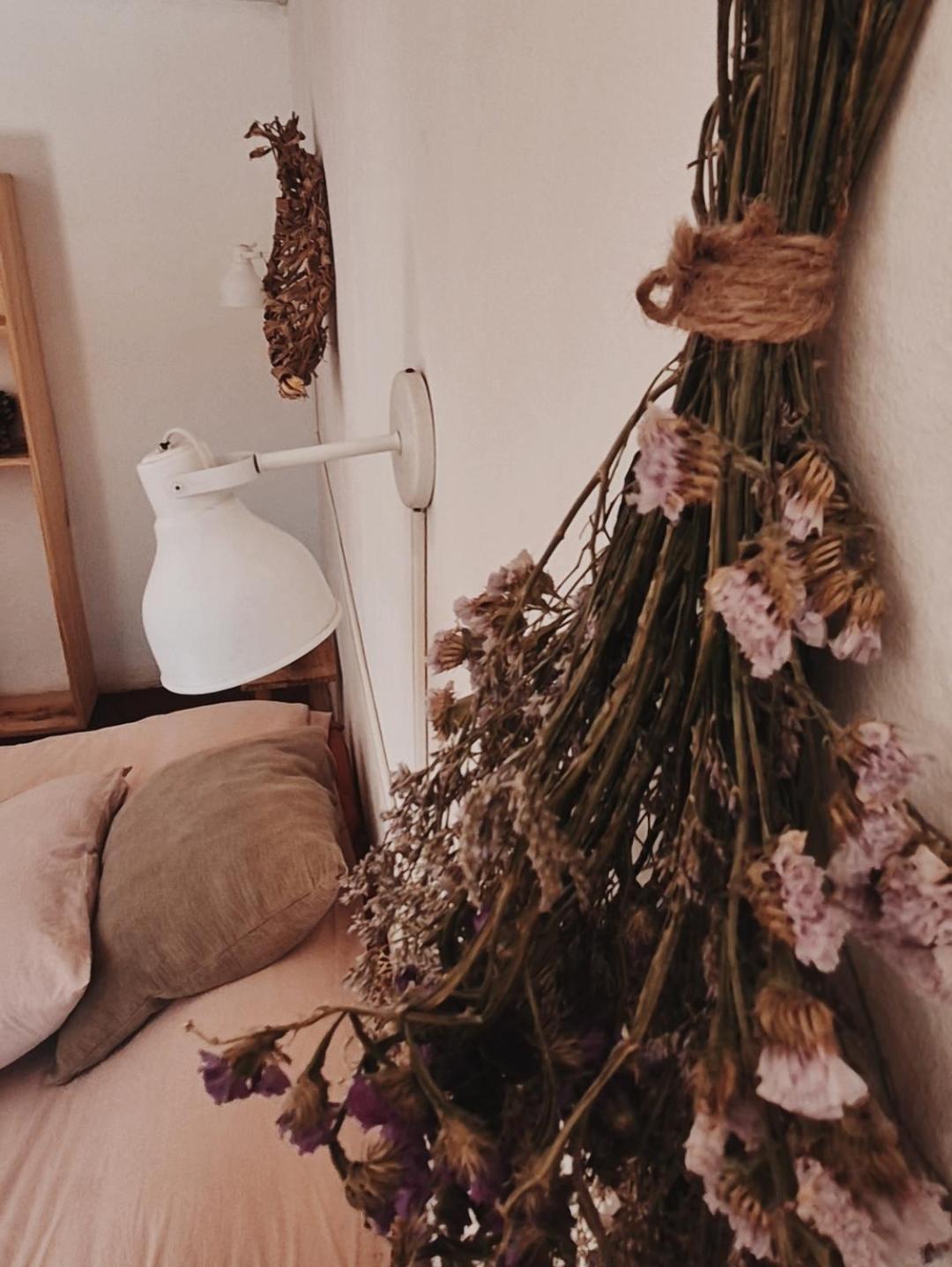 Mestiza Hostal Humahuaca Kültér fotó