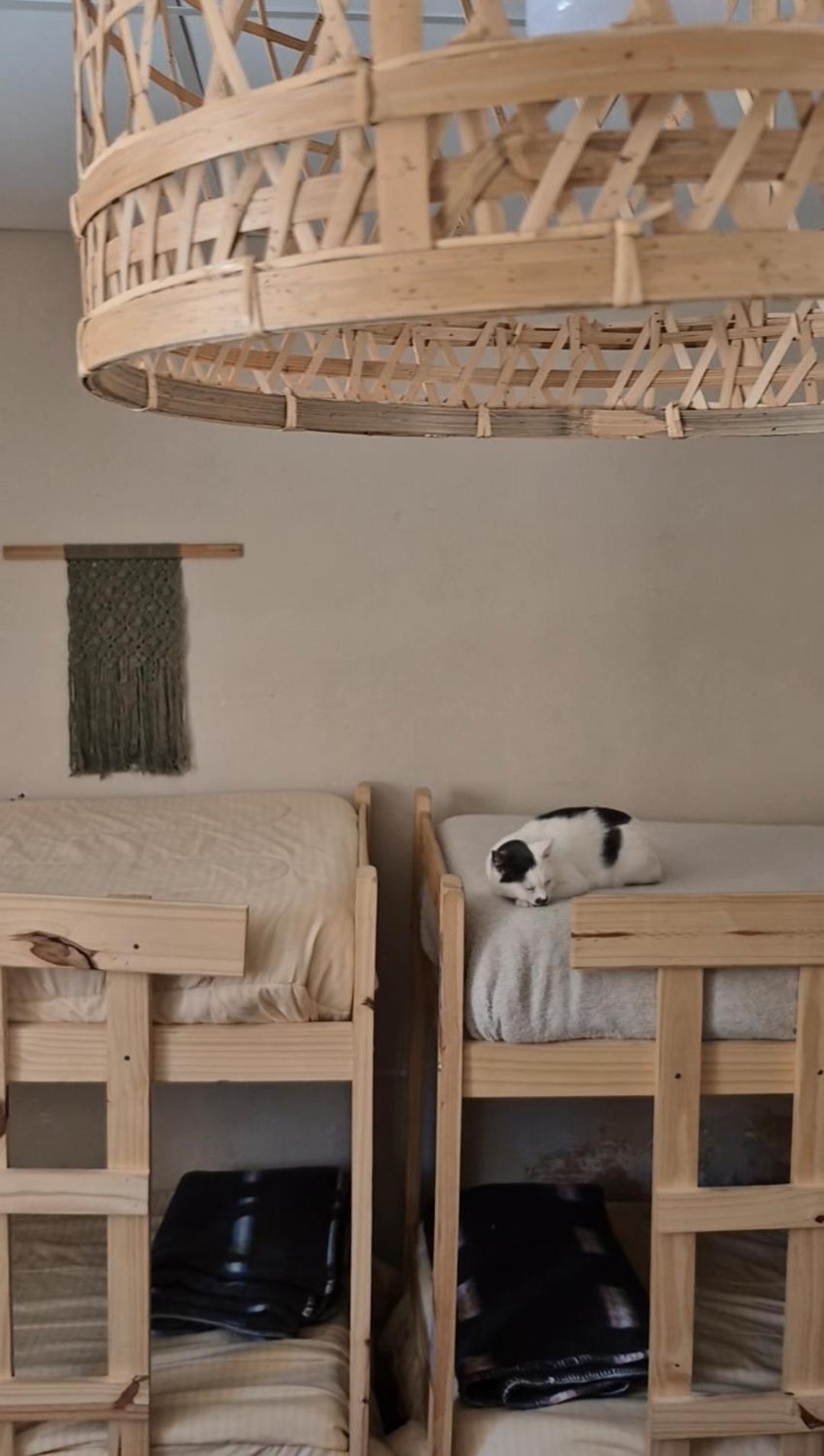 Mestiza Hostal Humahuaca Kültér fotó